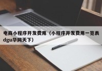 电商小程序开发费用（小程序开发费用一览表dgu华网天下）