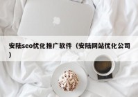 安陆seo优化推广软件（安陆网站优化公司）